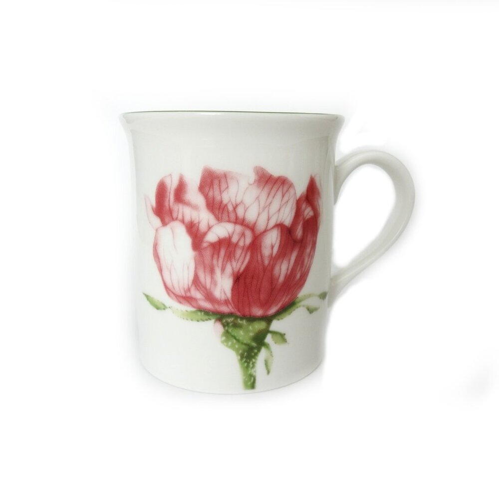 Villeroy & Boch Wild Rose Bud Flora Mug Germany 1748 Ceramic Premium Porcelain